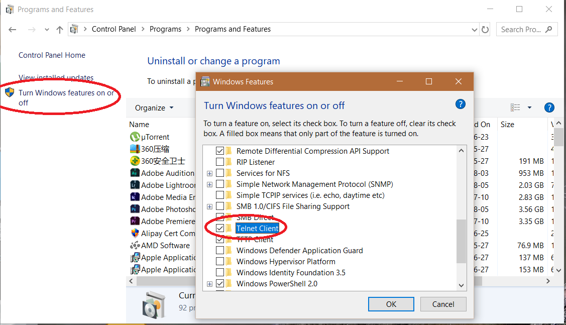 Windows下开启Telnet